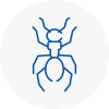 Ant Removals In Dartmoor