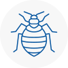 Bed Bug Extermination In Dartmoor