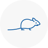 Mice Exterminators In Dartmoor