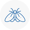 Moth Control Specialists In Dartmoor